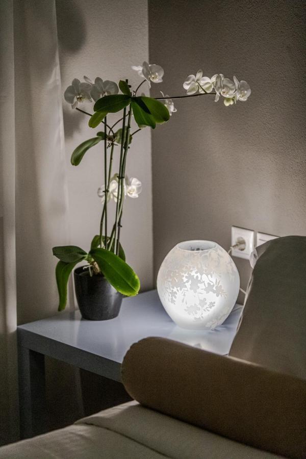 The Beetle House Apartment Volos Bagian luar foto
